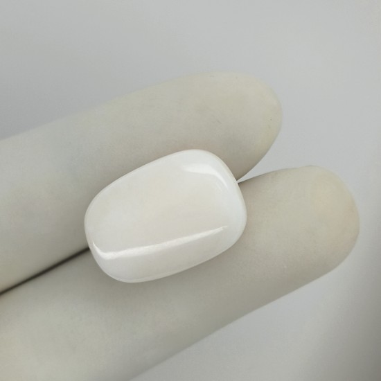 White Coral (Safed Moonga) 23.15 Ct Certified White Coral (Safed Moonga) 23.15 Ct Certified